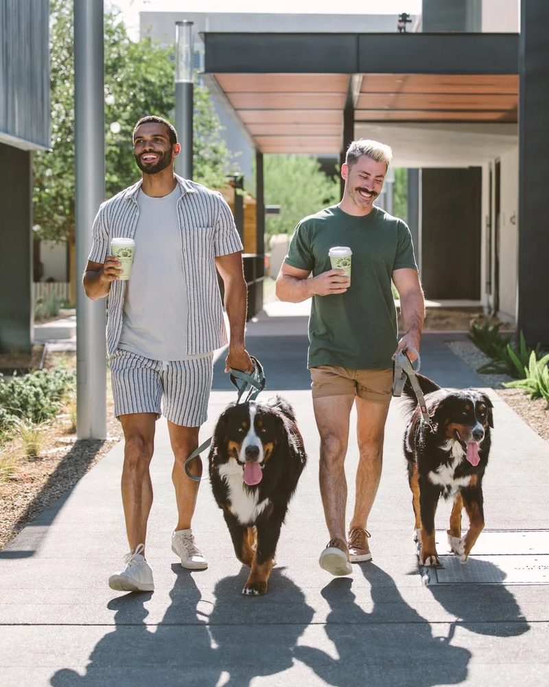 Two men walking Bernese mountain dogs with coffees in hand along a shaded walkway at UnCommons